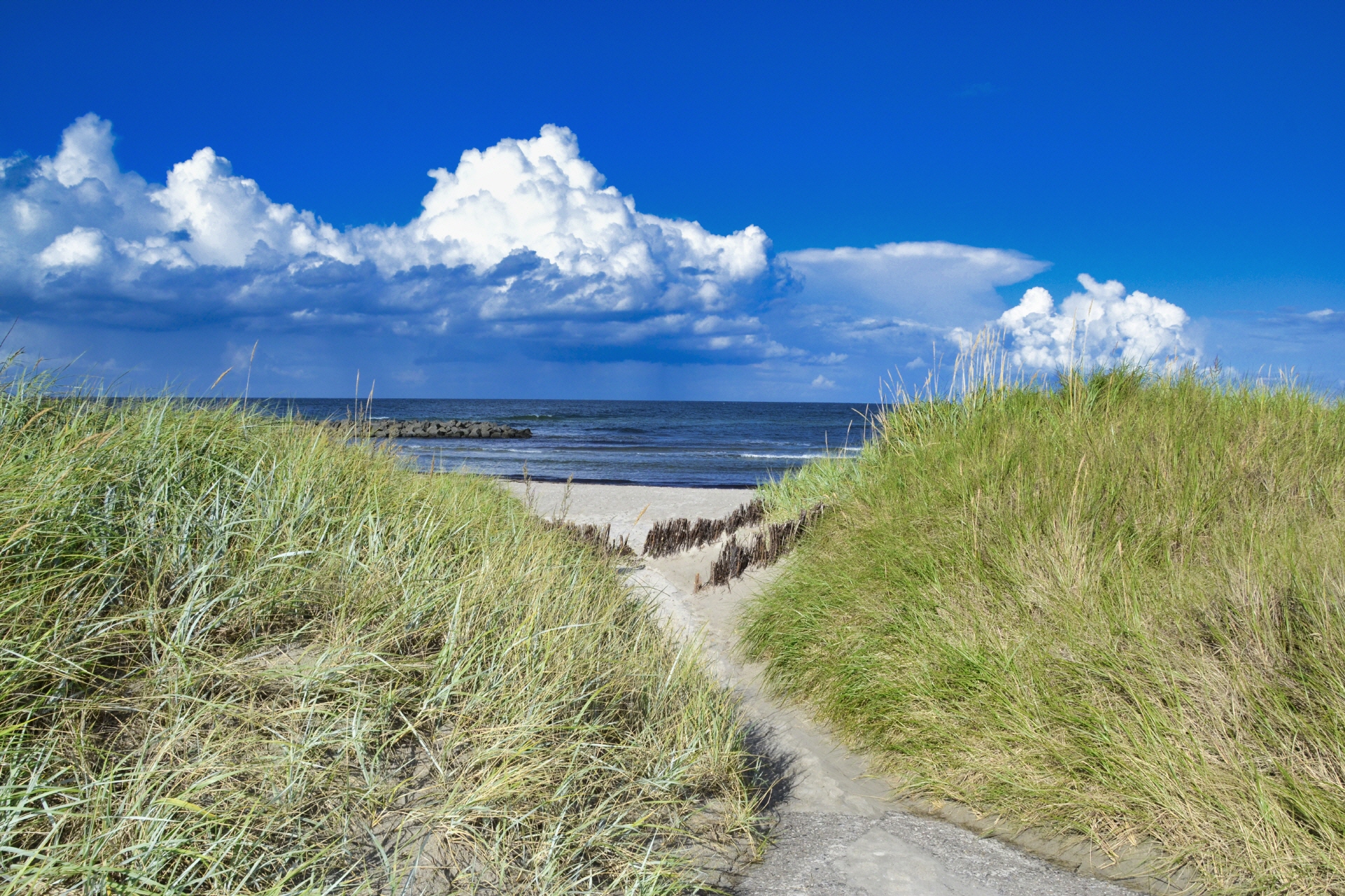 Der Strand in Brasilien